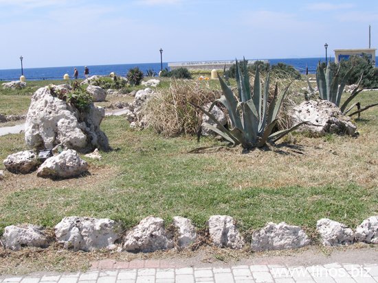 rodos 153